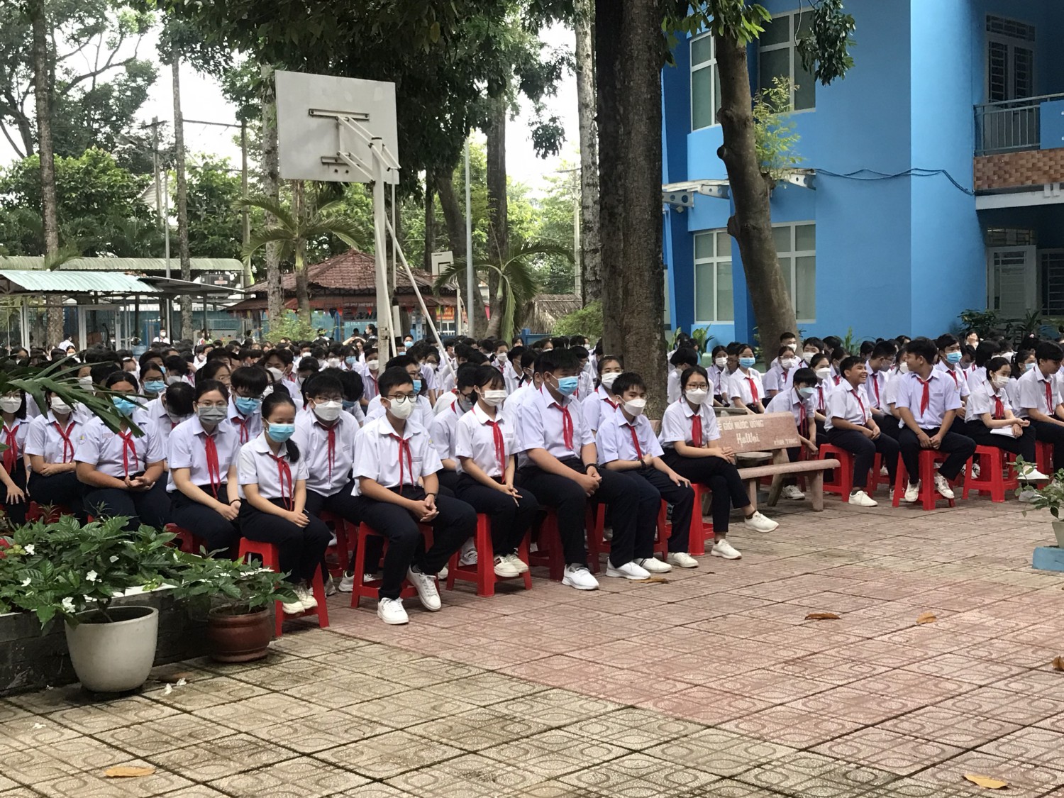HS