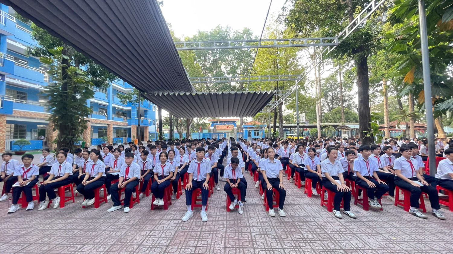 HS NGOI min
